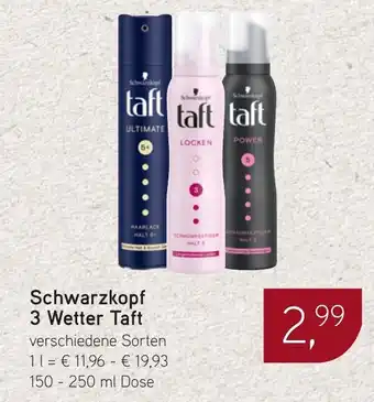 Dornseifer Schwarzkopf 3 Wetter Taft Angebot