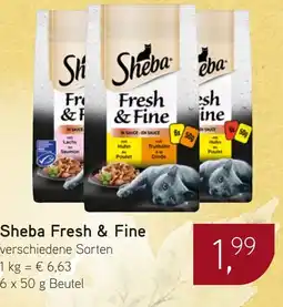 Dornseifer Sheba Fresh & Fine Angebot