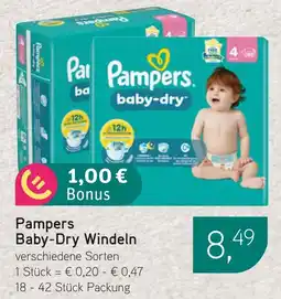 Dornseifer Pampers Baby-Dry Windeln Angebot