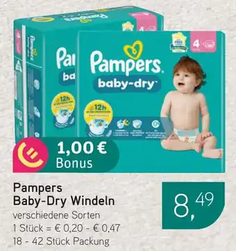 Dornseifer Pampers Baby-Dry Windeln Angebot