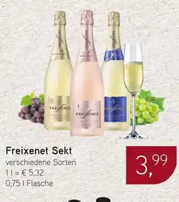 Dornseifer Freixenet Sekt Angebot