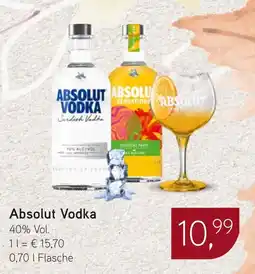 Dornseifer Absolut Vodka Angebot