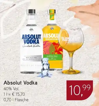 Dornseifer Absolut Vodka Angebot
