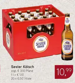 Dornseifer Sester Kölsch Angebot