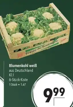 CITTI Markt Blumenkohl weiß Angebot