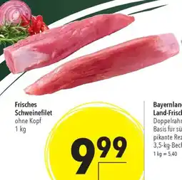 CITTI Markt Frisches Schweinefilet Angebot