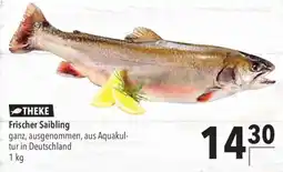 CITTI Markt Frischer Saibling Angebot