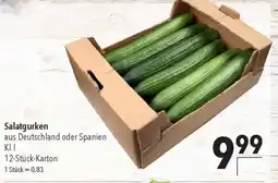 CITTI Markt Salatgurken Angebot