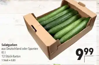 CITTI Markt Salatgurken Angebot