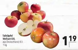 CITTI Markt Tafeläpfel Wellant XXL Angebot