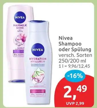Budni Nivea shampoo Angebot