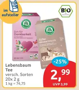 Budni Lebensbaum zeit für dankbarkeit tee Angebot