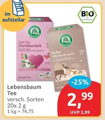 Budni Lebensbaum zeit für dankbarkeit tee Angebot