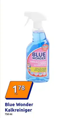 Action Blue wonder kalkreiniger Angebot