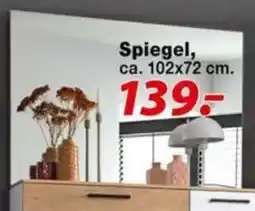 Möbel Turflon Spiegel Angebot
