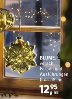 Möbel Turflon Blume Angebot