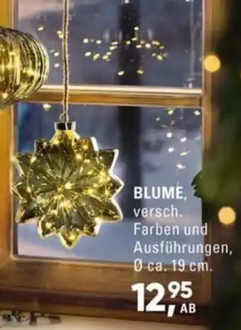 Möbel Turflon Blume Angebot