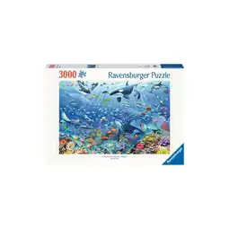Netto Marken-Discount Ravensburger Spiel Erwachsenenpuzzle 3000 Teile - Bunter Unterwasserspaß Angebot