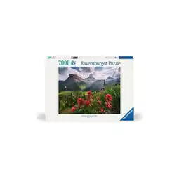 Netto Marken-Discount Ravensburger Spiel Erwachsenenpuzzle 2000 Teile - Unberührte Berge Angebot