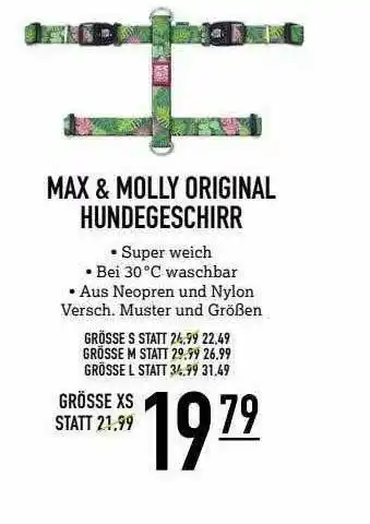 Kölle Zoo Max & Molly Original Hundegeschirr Angebot