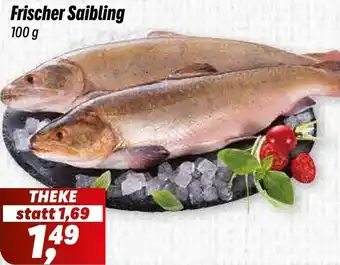 Simmel Frischer Saibling Angebot