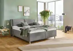 Opti Wohnwelt Oschmann Polsterbett Angebot