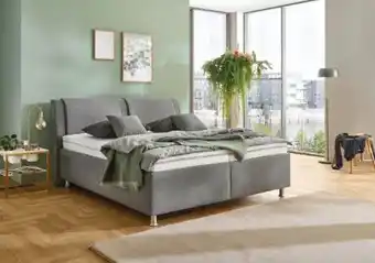 Opti Wohnwelt Oschmann Polsterbett Angebot