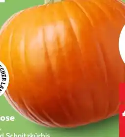 Kaufland Kürbis Angebot