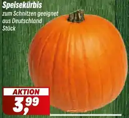 Simmel Speisekürbis Angebot