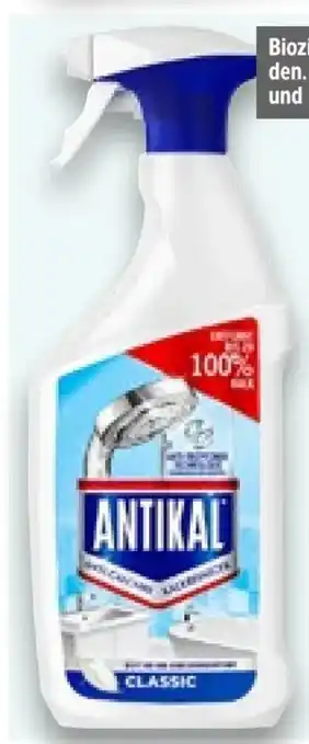 Kaufland Antikal Kalkreiniger Angebot