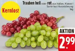 E-Center Trauben hell oder rot Angebot