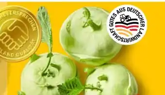 Kaufland Kohlrabi Angebot