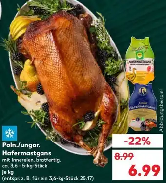 Kaufland Poln./ungar. Hafermastgans Angebot