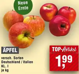 Handelshof Äpfel Angebot