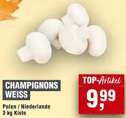 Handelshof Champignons weiss Angebot