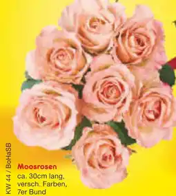 Netto Marken-Discount Moosrosen Angebot