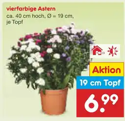 Netto Marken-Discount Vierfarbige astern Angebot