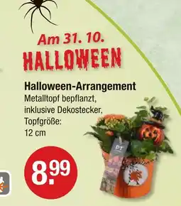 V Markt Halloween-arrangement Angebot