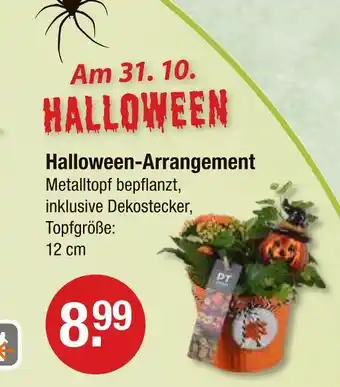 V Markt Halloween-arrangement Angebot