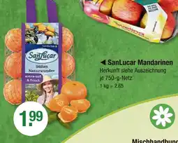 V Markt Sanlucar mandarinen Angebot