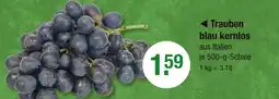 V Markt Trauben blau kernlos Angebot