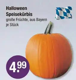 V Markt Halloween speisekürbis Angebot