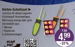 V Markt Kürbis-schnitzset Angebot