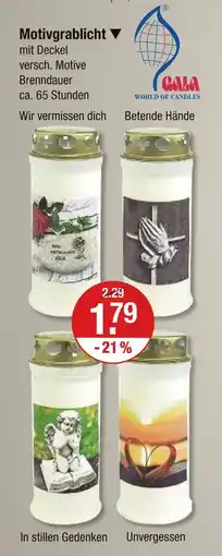 V Markt Gala motivgrablicht Angebot