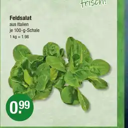 V Markt Feldsalat Angebot