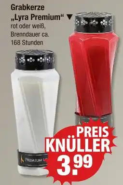 V Markt Grabkerze lyra premium Angebot
