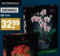 Handelshof Botanicals orchidee Angebot