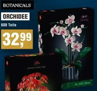 Handelshof Botanicals orchidee Angebot