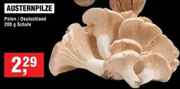 Handelshof Austernpilze Angebot