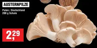 Handelshof Austernpilze Angebot